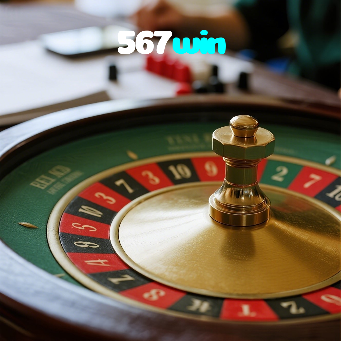 567win visual